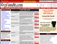 Tablet Screenshot of erppandit.com